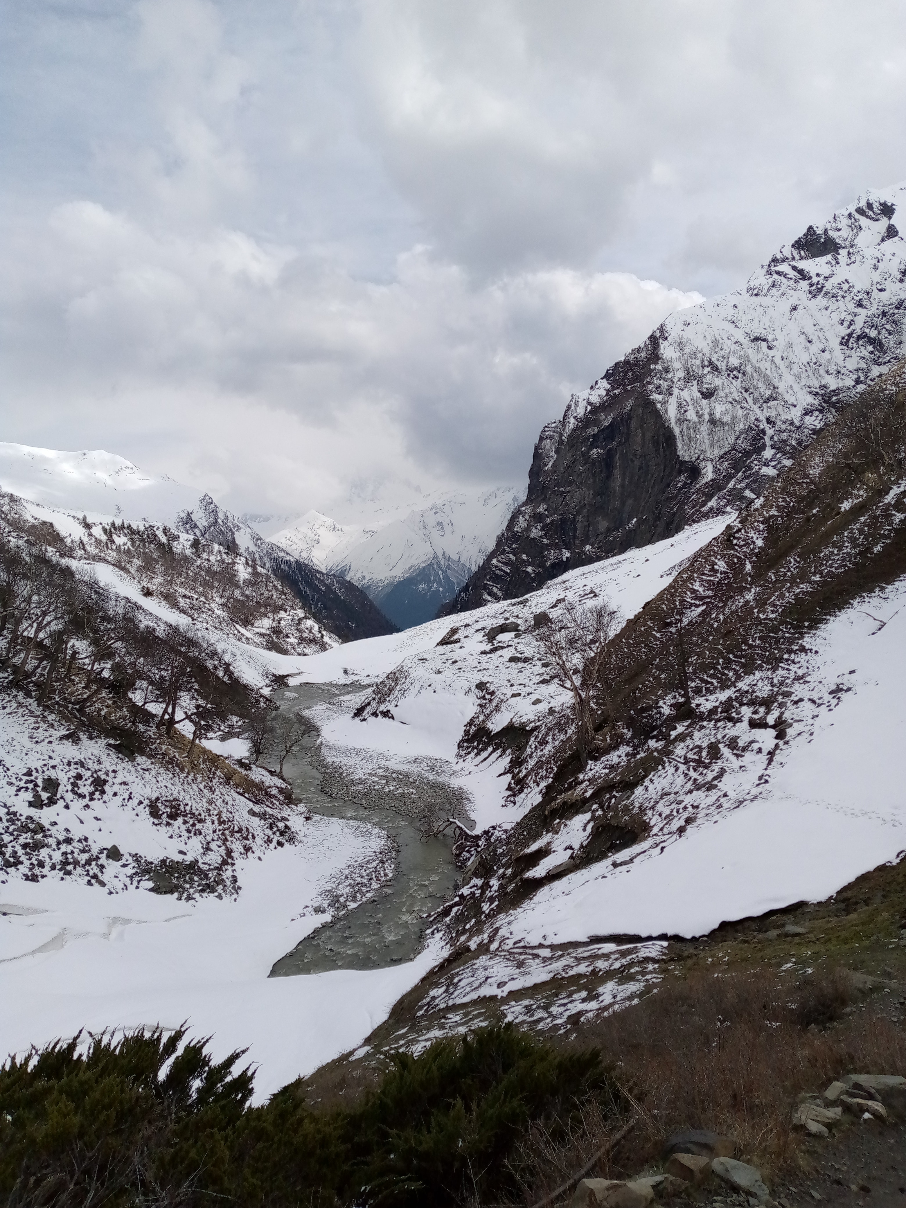 Kyarkoti Trek